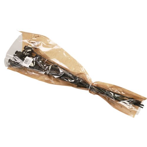 Floristik24 Tørrede blomster valmue kapsler tørret Sort Papaver 80g