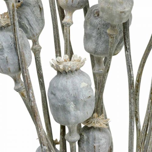 Artikel Deco Poppy Hvide Tørrede Blomster Valmue kapsler Papaver bundt på 75g