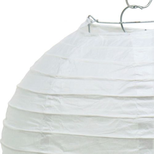 Floristik24 Papirlanterne hvid Ø20cm
