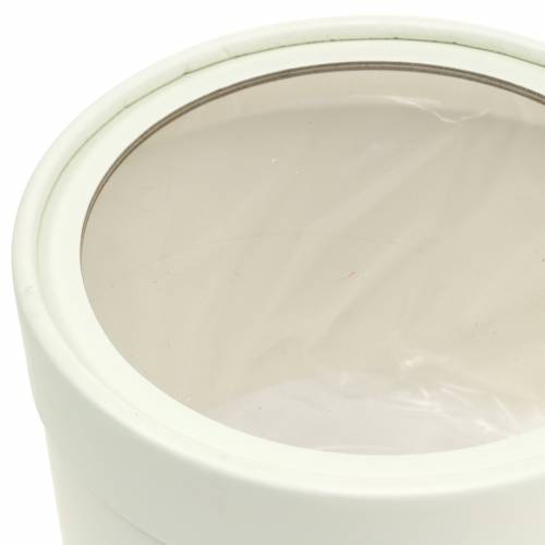 Floristik24 Blomsteræske rund papcreme Ø12,5/16cm sæt med 2 stk