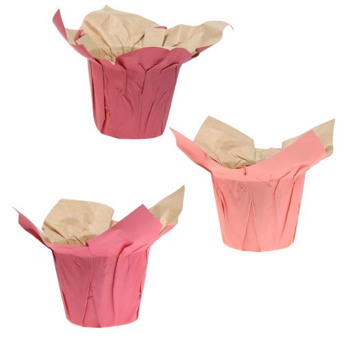 Papirgryde planter lyserød Ø10cm 12stk