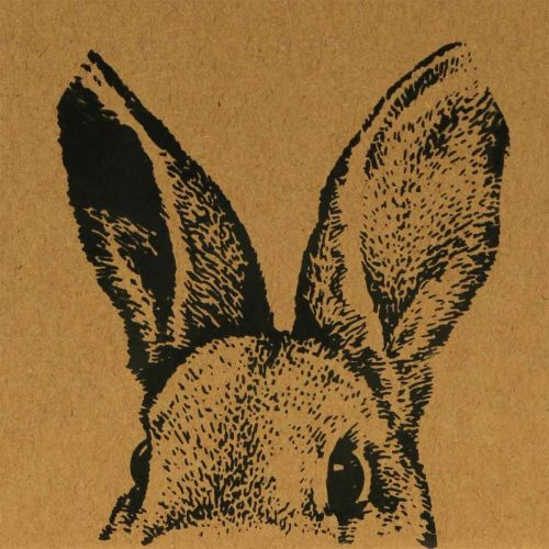 Artikel Gavepose påskepapirspose kaninbrun 12×6×15cm 8 stk