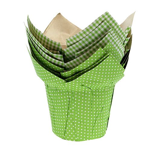 Floristik24 Papirpotte Ø10cm H8cm grøn 8stk