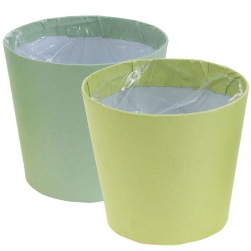 Floristik24 Papir cachepot, plantekasse, urtepotte blå/grøn Ø15cm H13cm 4stk