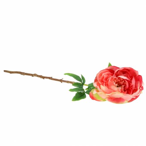 Floristik24 Peony pink 59cm