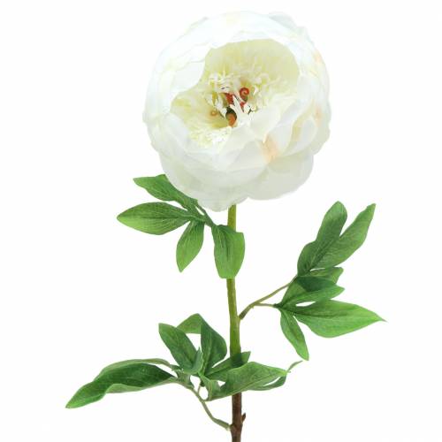 Floristik24 Peony hvid 59cm