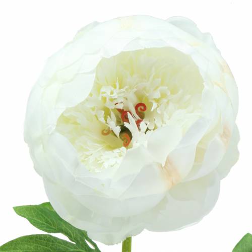 Floristik24 Peony hvid 59cm