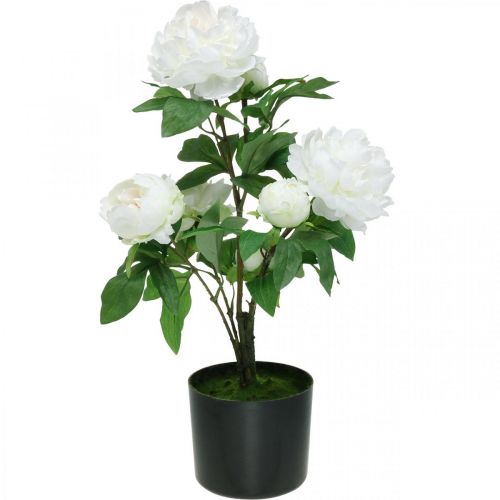 Artikel Kunstig Paeonia, pæon i potte, dekorativ plante hvide blomster H57cm