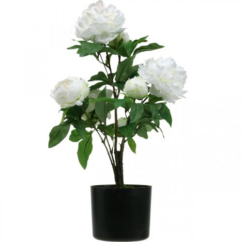 Artikel Kunstig Paeonia, pæon i potte, dekorativ plante hvide blomster H57cm