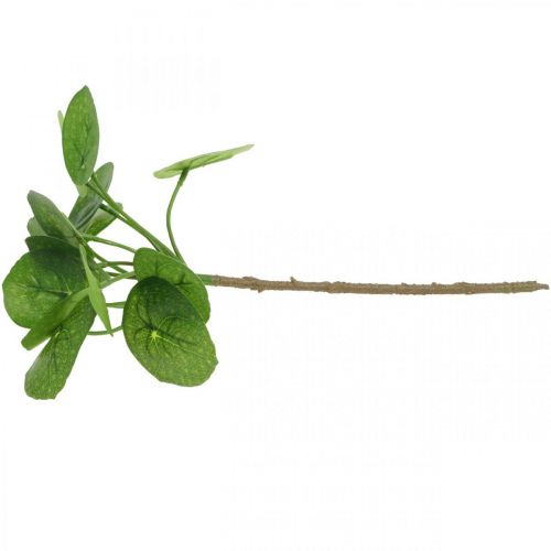 Floristik24 Peperomia Kunstig grøn plante med blade 30cm