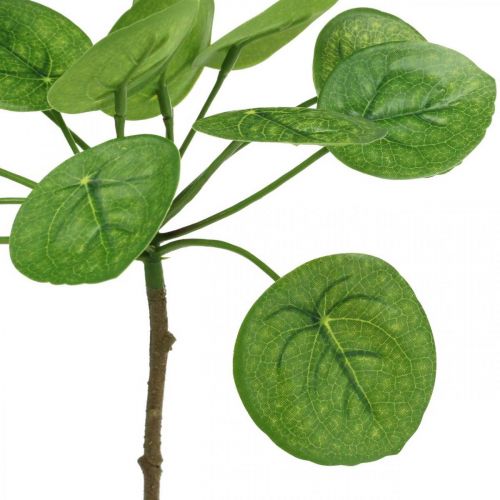 Artikel Peperomia Kunstig grøn plante med blade 30cm
