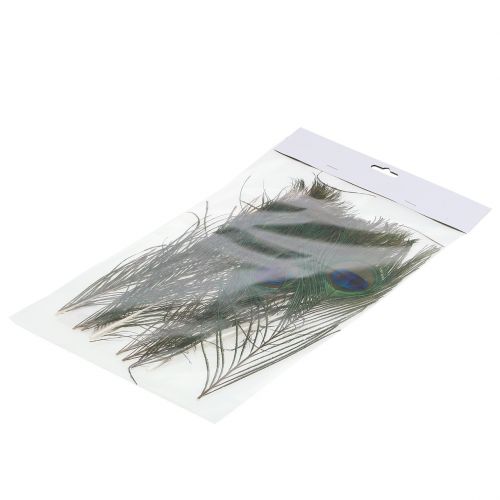 Floristik24 Påfuglfjedre 22cm - 30,5 cm 12stk