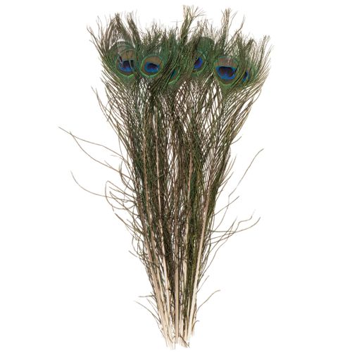 Artikel Påfuglefjer, ægte fuglefjer til kreativt brug og dekoration, 55 cm, 10 stk.