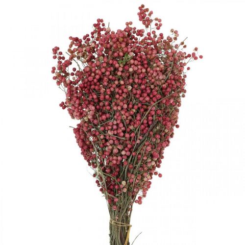 Floristik24 Peberbær, tørrede blomster, advent, pink peber, vinterpynt L40–45cm 200g