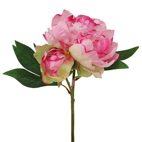 Floristik24 Pæoner med knopp pink L30cm 2stk