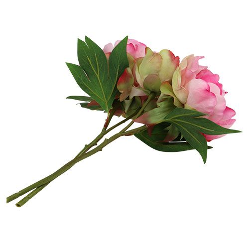 Floristik24 Pæoner med knopp pink L30cm 2stk