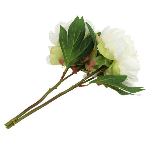 Floristik24 Pæoner med knop hvid L30cm 2stk