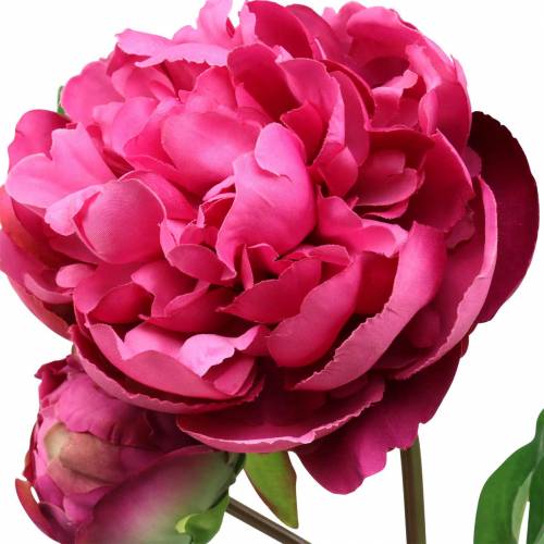 Floristik24 Pæon kunstig blomst med blomst og knopp lilla magenta 68cm