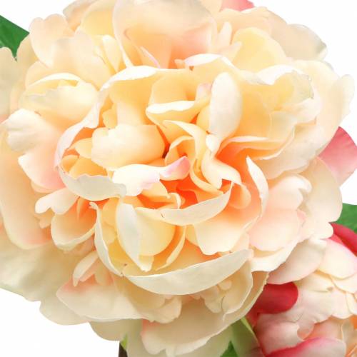 Floristik24 Peony med blomster og knopp kunstig fersken 70cm