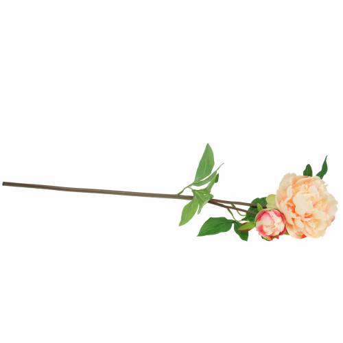 Floristik24 Peony med blomster og knopp kunstig fersken 70cm