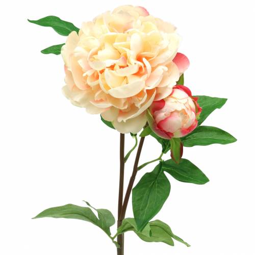 Floristik24 Peony med blomster og knopp kunstig fersken 70cm