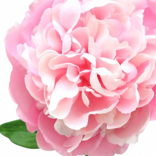 Floristik24 Peony kunstig blomst med blomst og knopperosa 68 cm