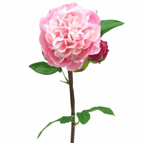 Floristik24 Peony kunstig blomst med blomst og knopperosa 68 cm