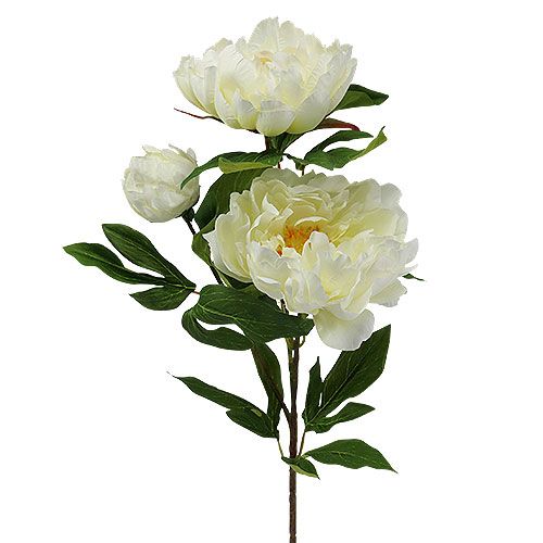 Floristik24 Peony kunstige blomster fløde L70cm