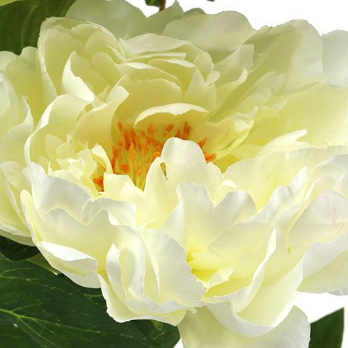 Floristik24 Peony kunstige blomster fløde L70cm