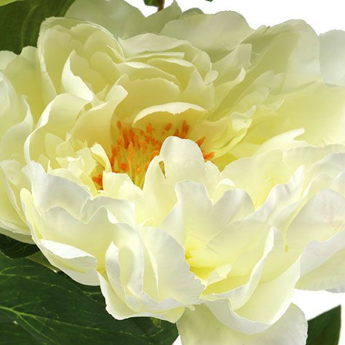 Artikel Peony kunstige blomster fløde L70cm