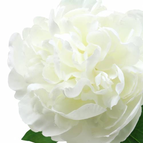 Artikel Peony hvid 72cm