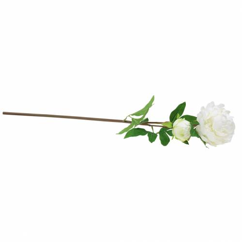 Floristik24 Peony hvid 72cm