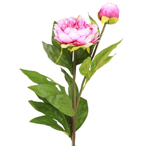 Floristik24 Pæoner Langstilkede Kunstige Blomster Lyserød 70cm 3stk