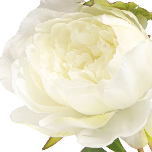 Artikel Kunstige pæoner med 3 blomster hvid creme 81cm 2 stk