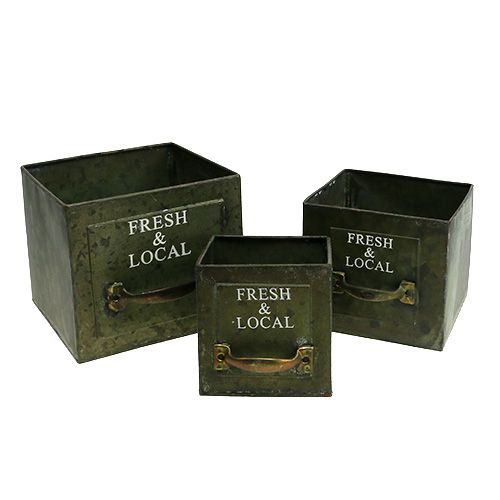 Floristik24 Planteskuffesæt med 3 antikgrøn