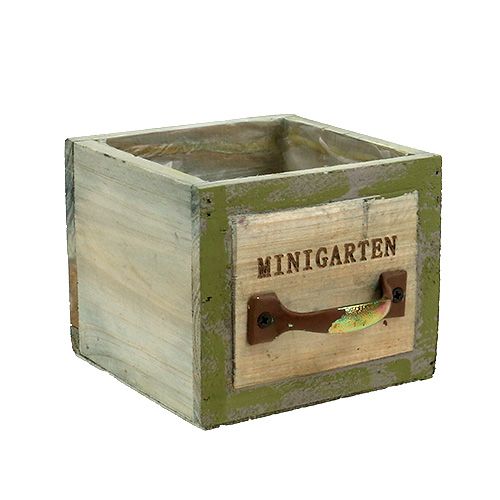 Floristik24 Planteskuffetræ 11,5 cm x 11 cm