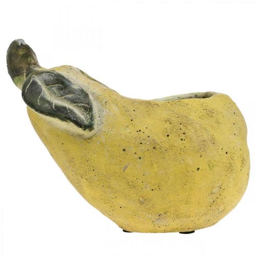 Artikel Pære til plantning, efterårsdekoration, betonkar L19cm H15,5cm