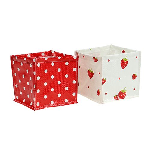 Floristik24 Plantekasse 12x12cm 6stk. Rød / hvid