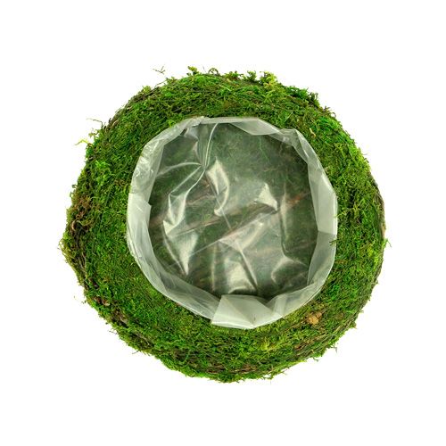 Floristik24 Planteskål mosgrene Ø20cm