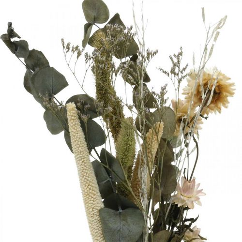 Floristik24 Tørrede blomster buket eukalyptus tør blomstersæt H30-35cm