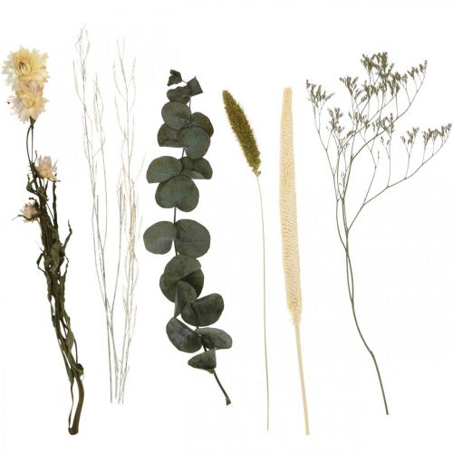 Floristik24 Tørrede blomster buket eukalyptus tør blomstersæt H30-35cm