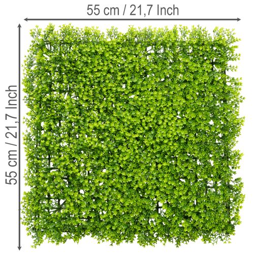 Kunstig buksbom plantemåtte 55x55 cm til dekorativ vægdekoration | Floristik24.dk