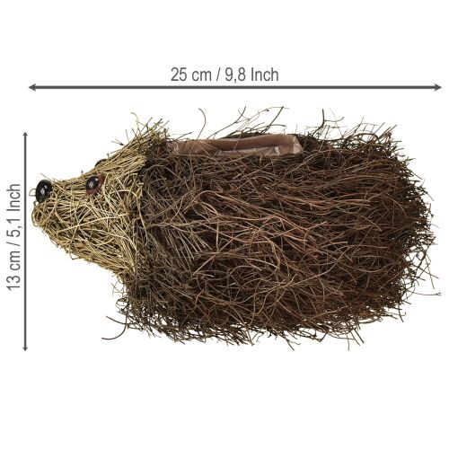 Artikel Pindsvinepotte lavet af slyngplanter 22 cm x 25 cm