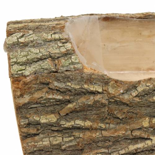 Floristik24 Plantekasse elmetræ 29cm x 11cm H10cm