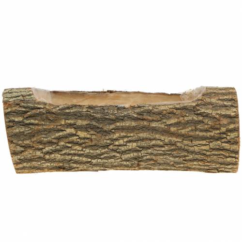 Floristik24 Plantekasse elmetræ 29cm x 11cm H10cm