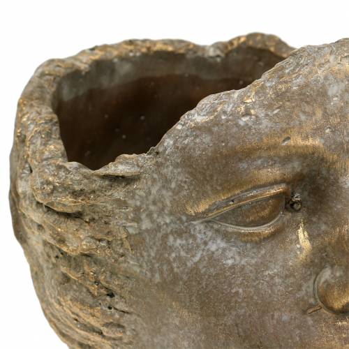 Floristik24 Plantehoved plante buste guld H20cm