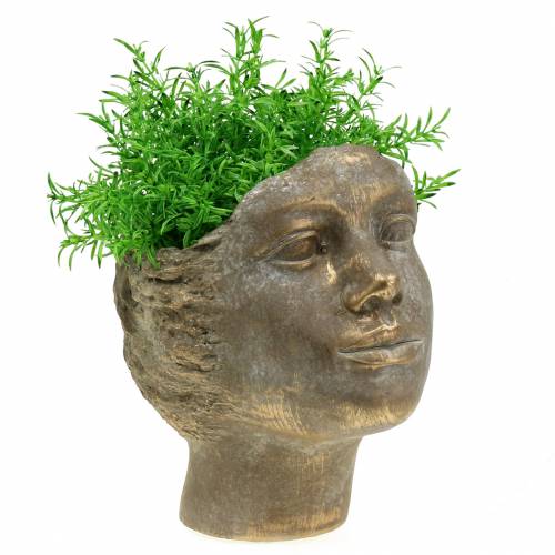 Floristik24 Plantehoved plante buste guld H20cm