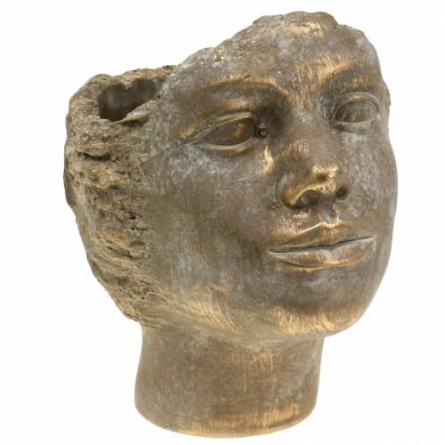 Floristik24 Hovedplanter plante buste guld H24cm