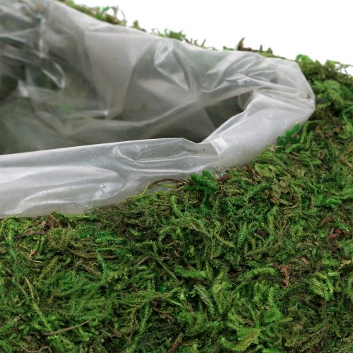 Floristik24 Plantehjertemos 28cm x 23cm