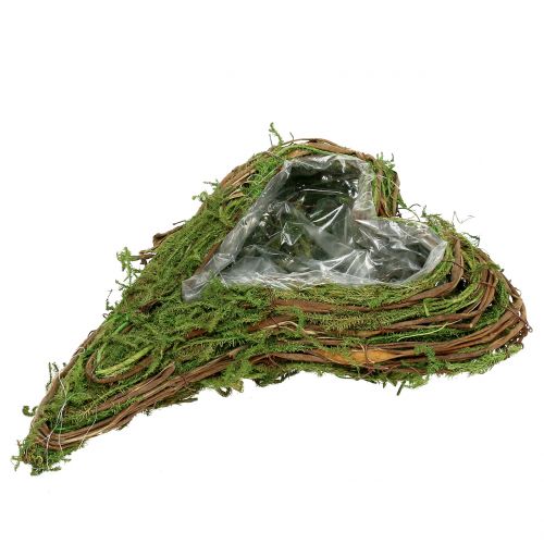 Floristik24 Plant hjertemos og vin 30cm x 20cm